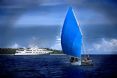 True North Adventure Cruises