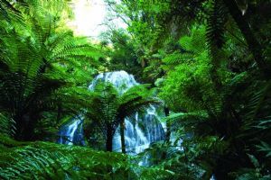 Treetops Lodge
