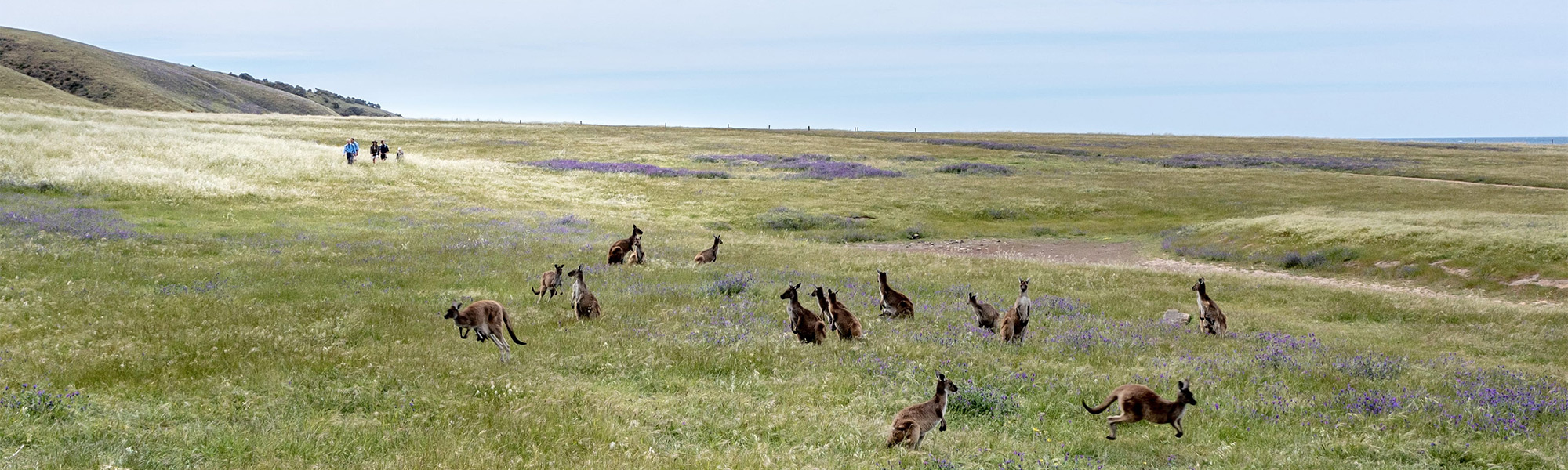 Australia Luxury with Heart