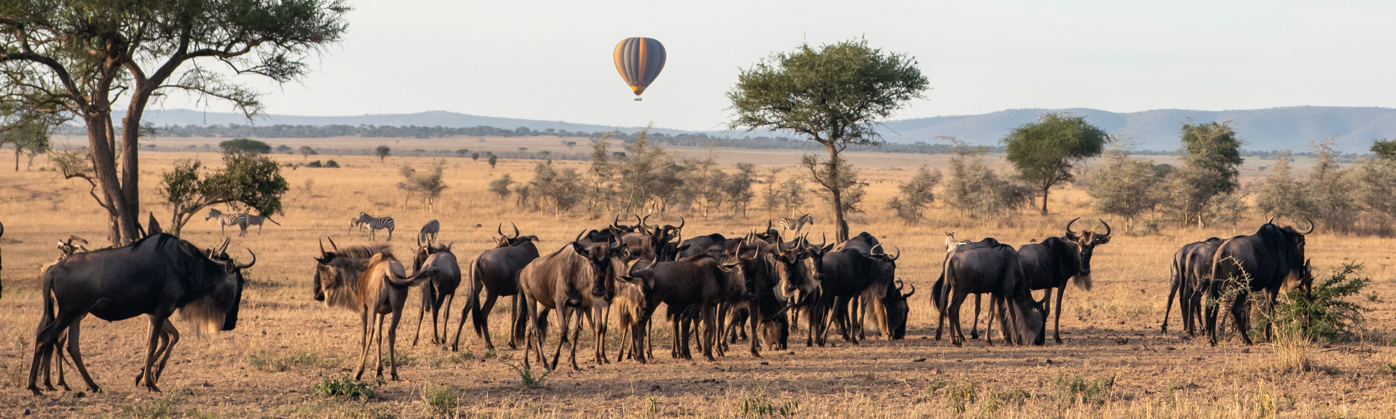 Tanzania Luxury with Heart