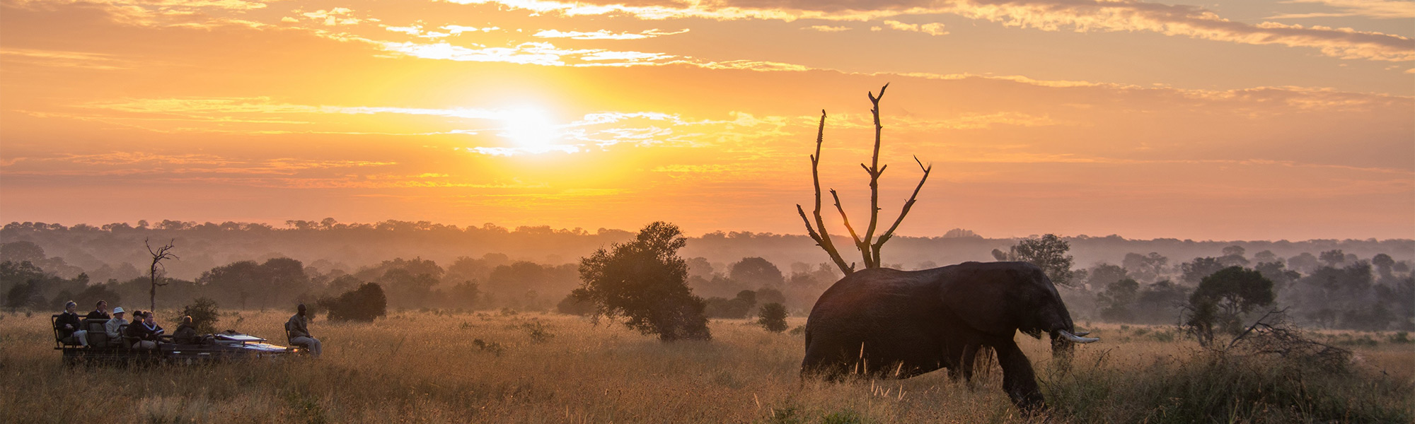 South Africa Luxury with Heart