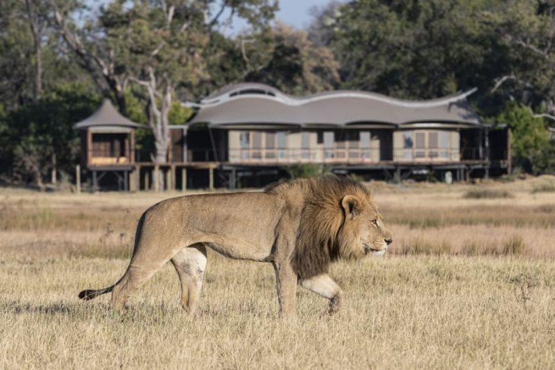 Bespoke Southern Africa