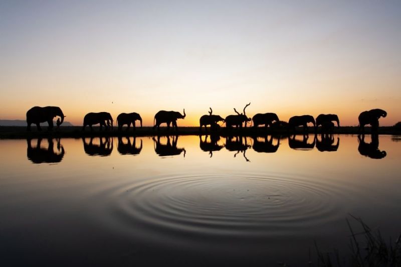 Hidden Treasures of South Africa