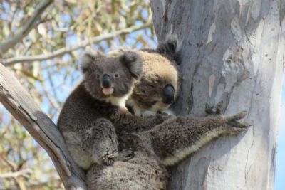 Wine and Wildlife Discovery