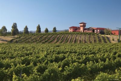 A Food & Wine Journey