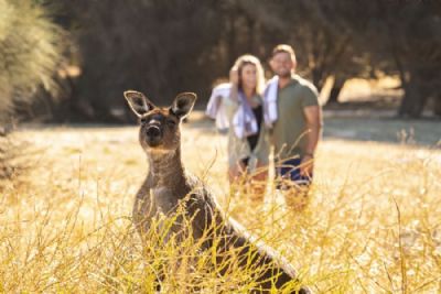 Australia Indulgence
