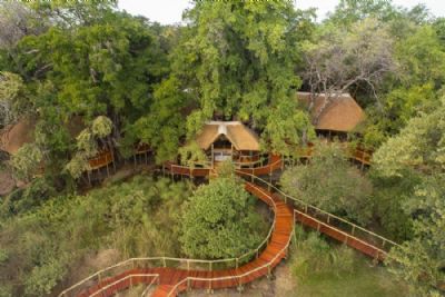 Camp Moremi