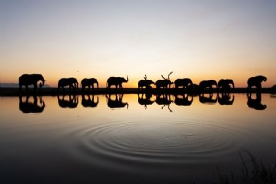 Hidden Treasures of South Africa