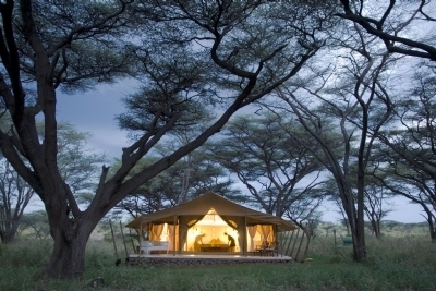 Joy's Camp