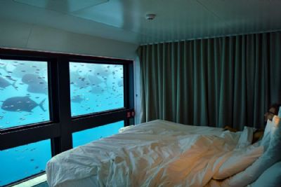 Reefsuite