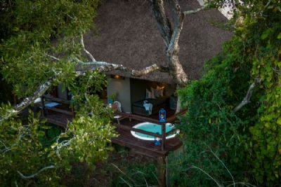 Sabi Sabi Little Bush Camp
