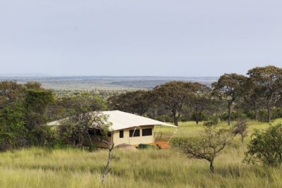 Serengeti Bushtops Lodge