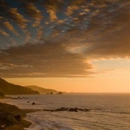 Kiwi North & South Island Tour