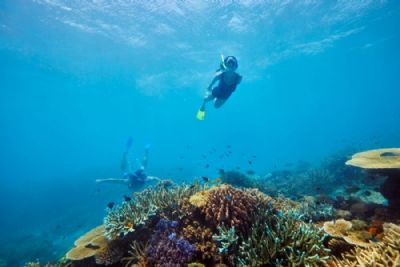 Sydney, Reef and Rainforest
