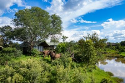 The Wallow Lodge