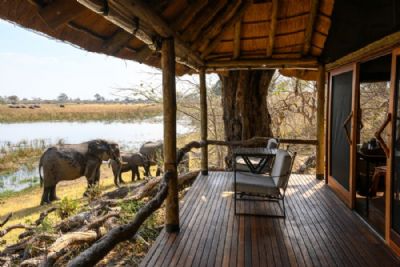 Wilderness Savuti