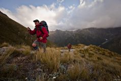 Arthur's Pass National Park and TranzAlpine