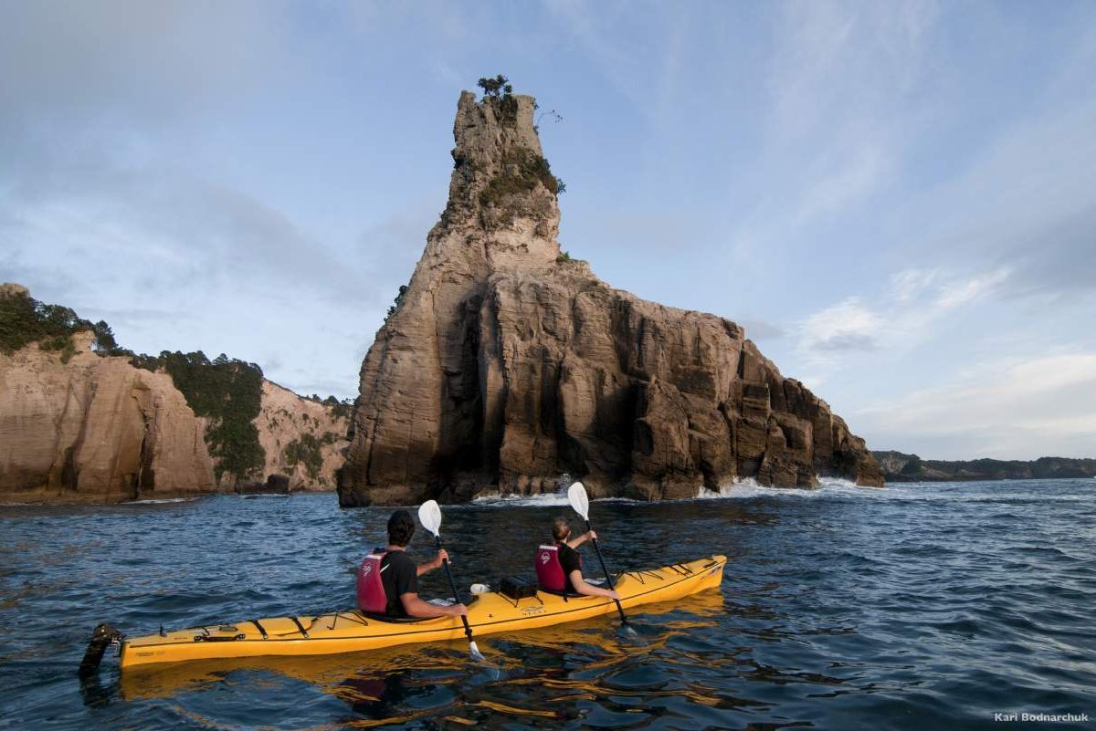 Coromandel Day Tour