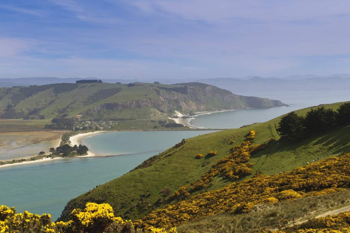 The Otago Peninsula Experience