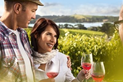 Waiheke Wine Tour