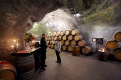 Boutique Wine Tour