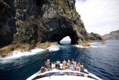Cape Brett 'Hole in the Rock' Cruise