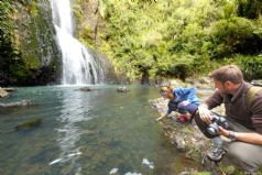 Coast and Rainforest Walk