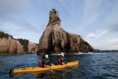 Coromandel Day Tour