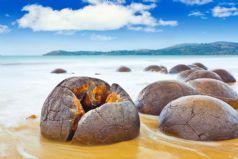 Moeraki Boulders and Blue Penguins