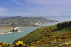 The Otago Peninsula Experience