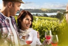 Waiheke Wine Tour