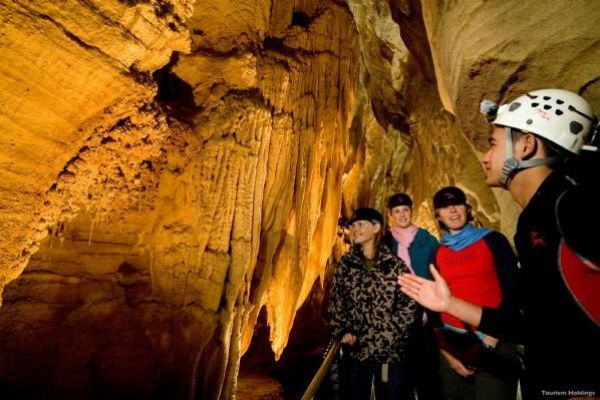 Waitomo Caves Tour