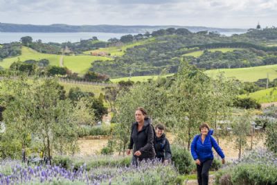 Exhilarating New Zealand