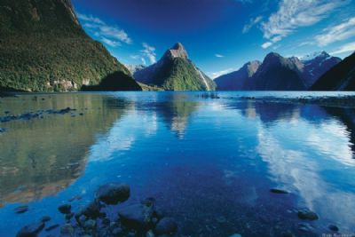 New Zealand Splendor