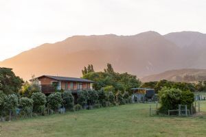 Hapuku Lodge and Tree Houses