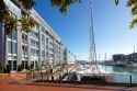 Sofitel Auckland Viaduct Harbour