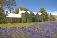 Millbrook Resort