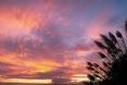 On The Point - Lake Rotorua