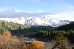 Stonefly Lodge