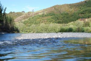 Stonefly Lodge