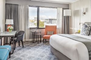 Cordis, Auckland