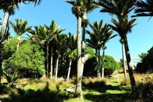 Westhaven Retreat