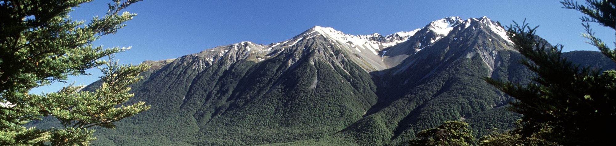 Wilderness Lodge at Arthur's Pass