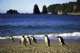 Wilderness Lodge Lake Moeraki 