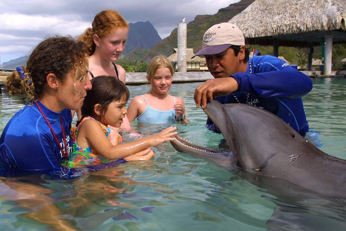 Dolphin Encounter