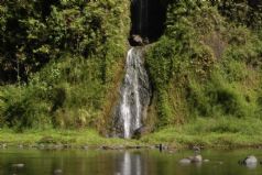 Tahiti and Her Tropical Treasures