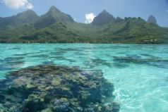 Moorea Sampler