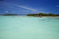Moorea Sampler