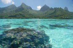 Pearls of Polynesia