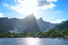 Pearls of Polynesia